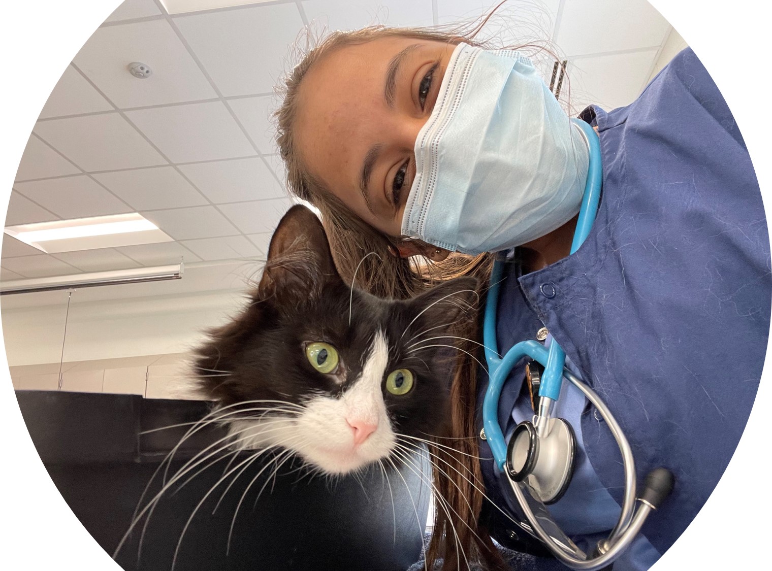 vet student with cat