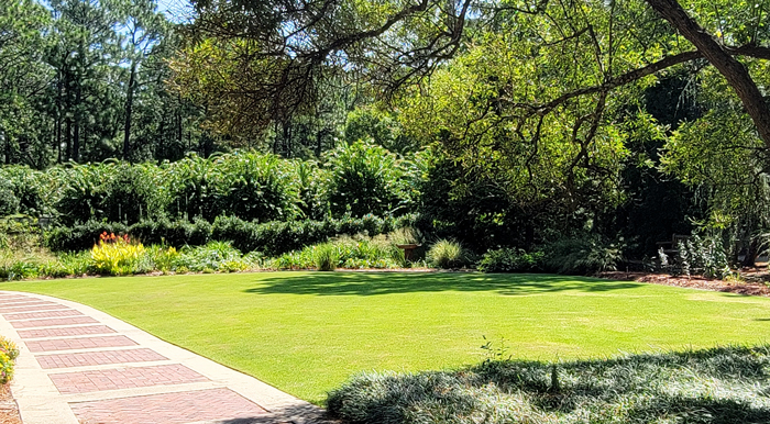 Conifer Garden by Susan Bailey Conifer Garden by Susan Bailey