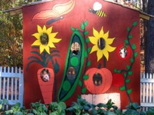 children's garden