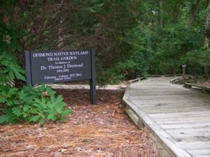wooden path
