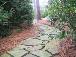 stone path