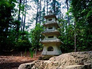 japanese garden