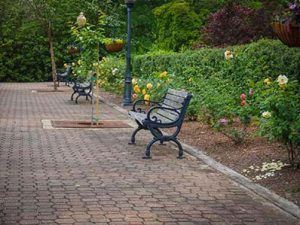 rose garden