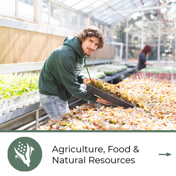 Agriculture, Food & Natural Resources