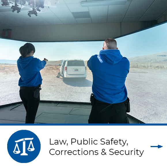 Law, Public Safety, Corrections & Security 