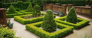 sandhills gardens