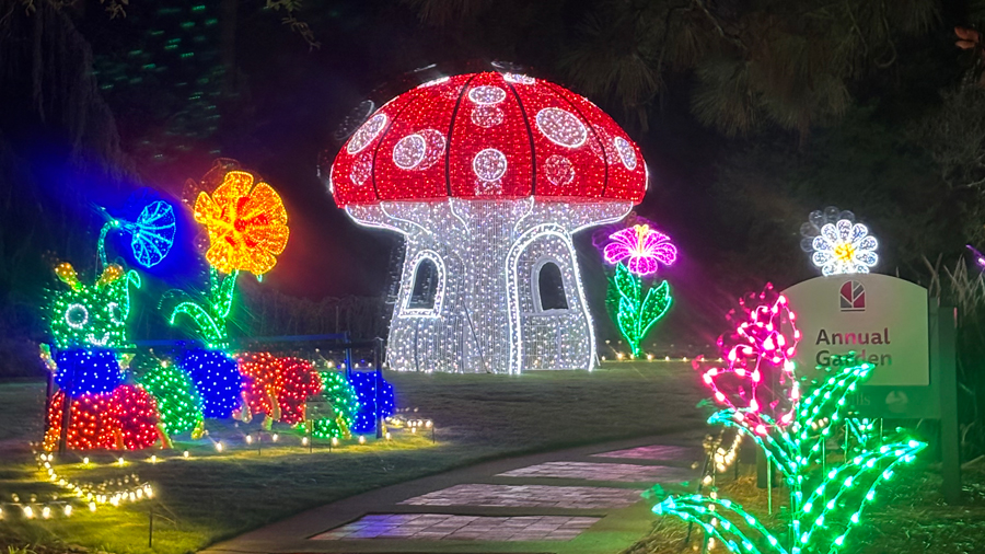 Giant red-and-white illuminated mushroom surrounded by colorful glowing flowers at the Sandhills Garden of Lights.