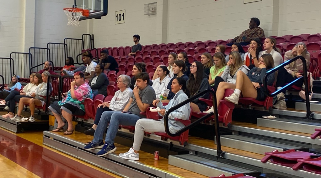 Volleyball audience